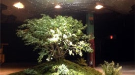 Tunnel Vision: Subterranean Park to Stay Sunny with Fiber-Optic Skylights [Slide Show]