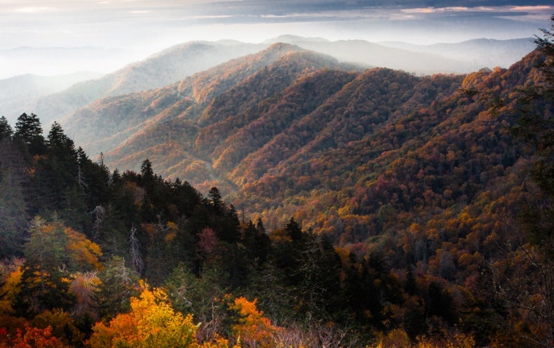 Resisting Technology, Appalachian Style - Scientific American