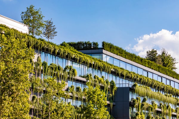 Office building in Germany covered in green creeping plants