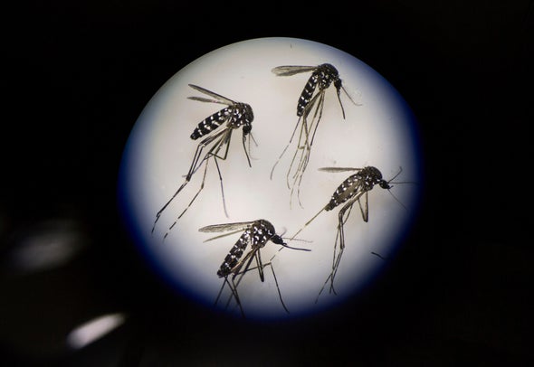 Gene Drives Thwarted by Emergence of Resistant Organisms