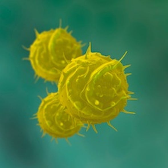 Cell-Off: Induced Pluripotent Stem Cells Fall Short of Potential Found in Embryonic Version