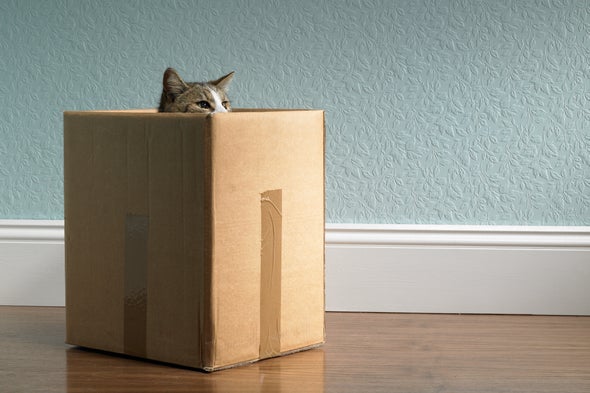 Gravity Kills Schrödinger's Cat