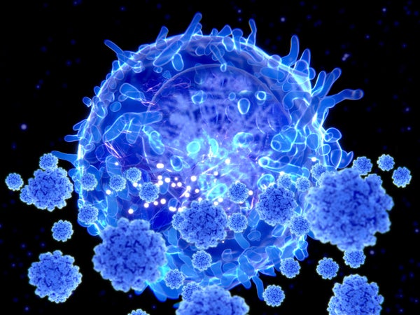 Computer rendering of T cell targeting SARS-CoV-2 viruses.