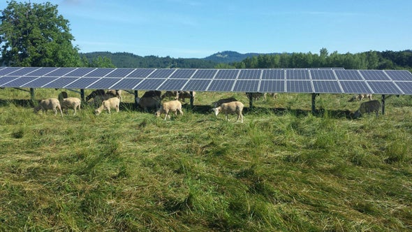 Farmland Is Also Optimal for Solar Power