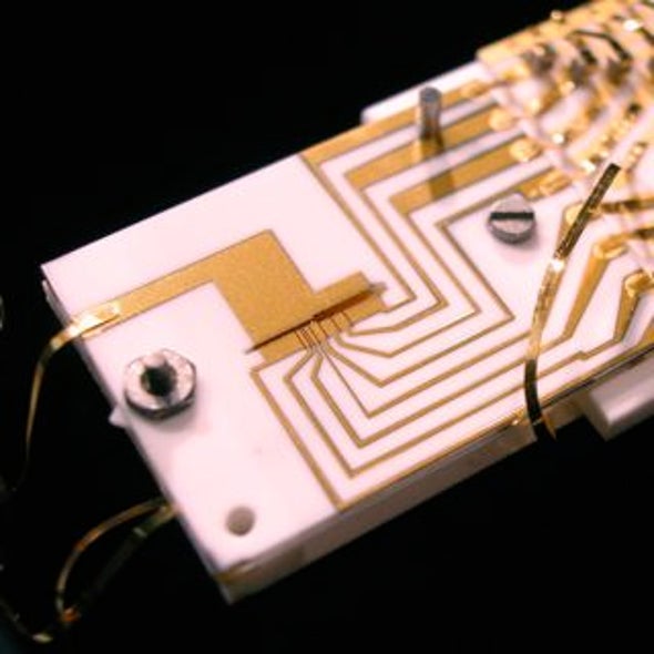 Small-Scale Quantum Processor Gets Its Act Together