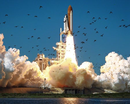 Challenger Space Shuttle launch with black birds and blue skies.