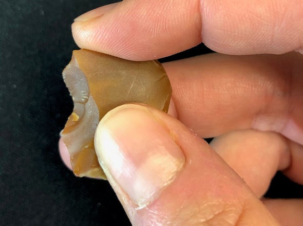 Early Butchers Used Small Stone Scalpels