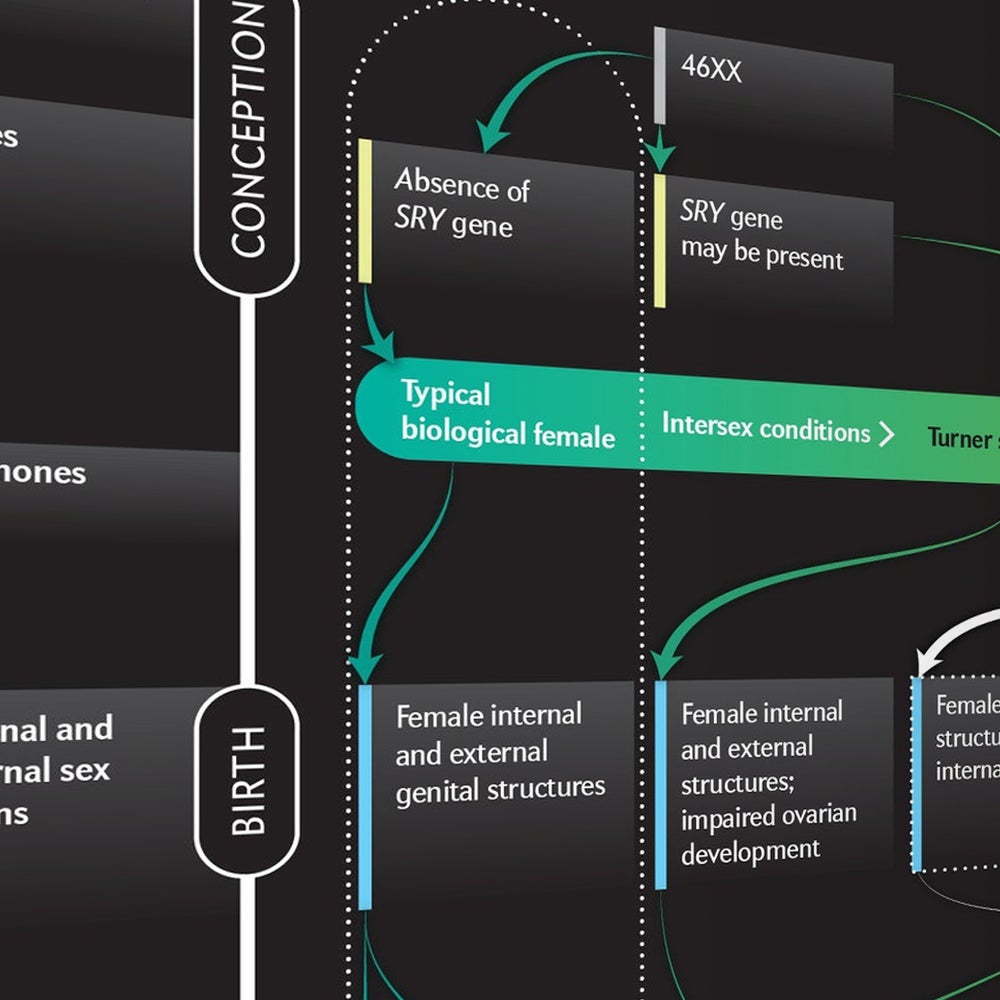 Beyond XX and XY: The Extraordinary Complexity of Sex Determination |  Scientific American