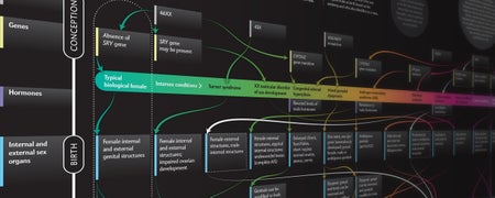 Crop of diagram explaining how the factors determining biological sex can vary in intersex individuals.