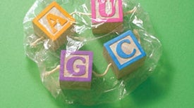 The Origin of Life on Earth