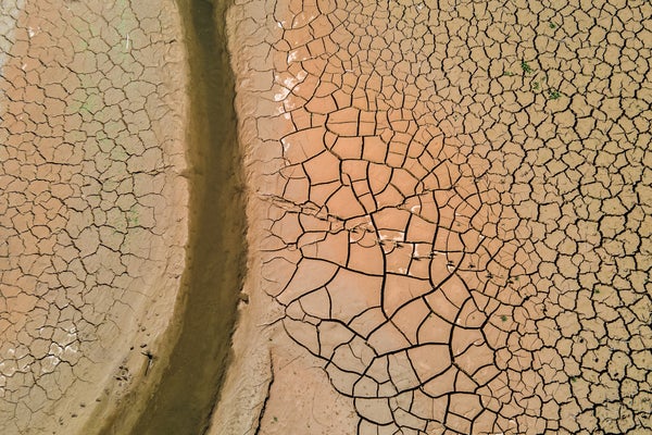 Cracked earth on the exposed bed of the Rialb reservoir