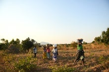 Agroecology Is the Solution to World Hunger