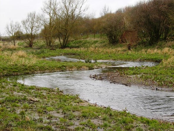 Sewage Treatment Offers Biodiversity Boost in U.K. River
