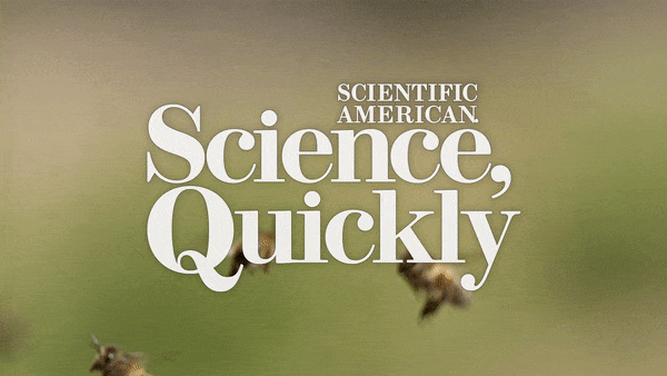 Squeak Squeak, Buzz Buzz: Araştırmacılar Hayvanlarla Konuşmak İçin Yapay Zekayı Nasıl Kullanıyor?