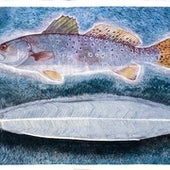 Is Evolution Truly Random?