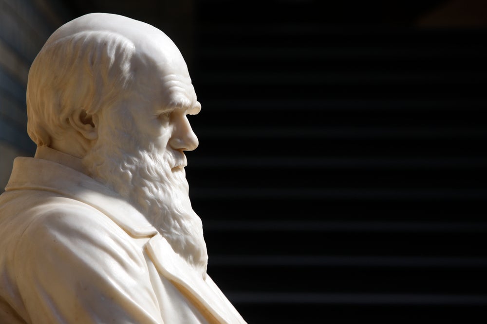 what is darwin's contribution to modern science essay