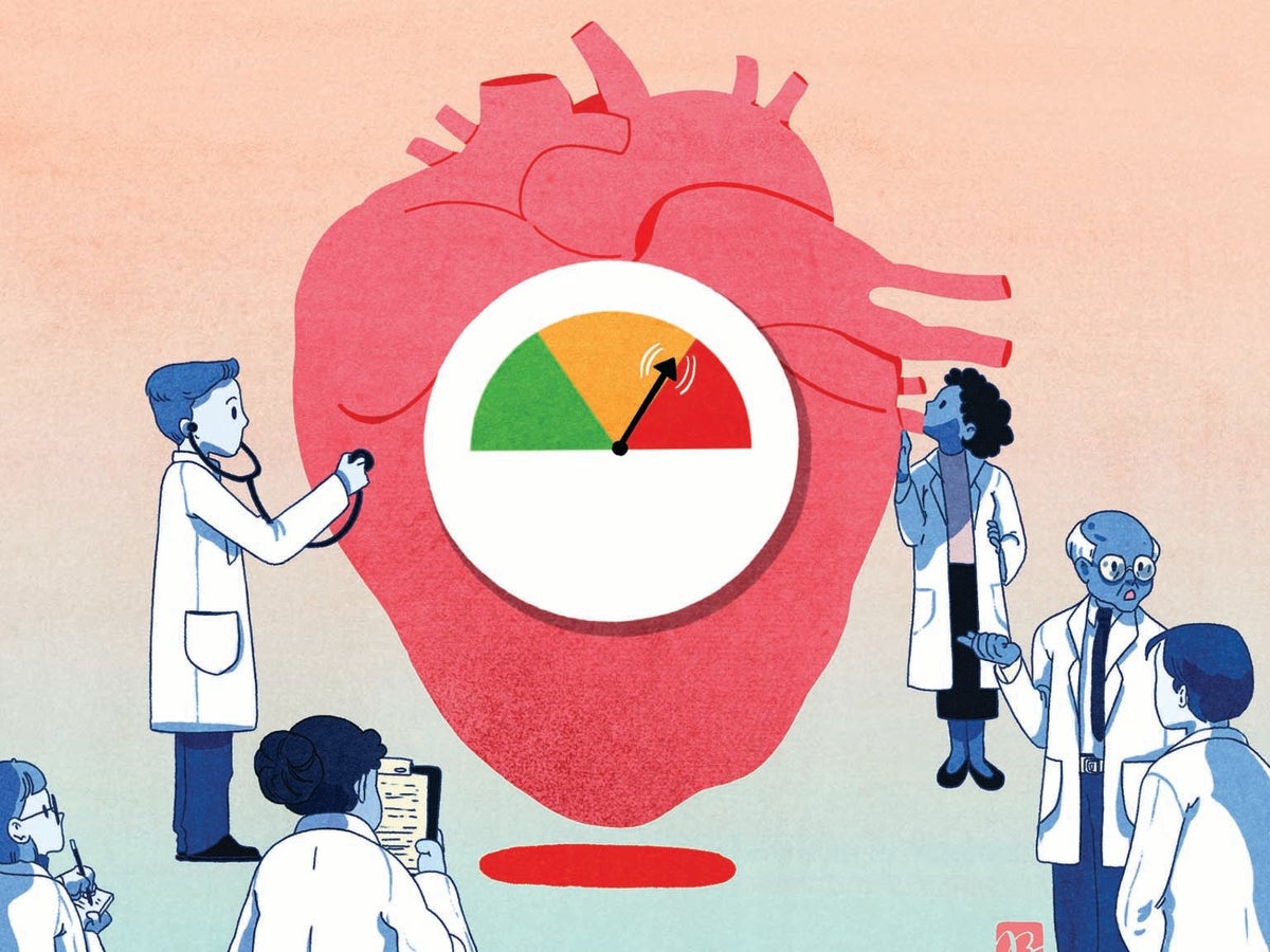 Too Much 'Good' Cholesterol Can Harm the Heart   Scientific American