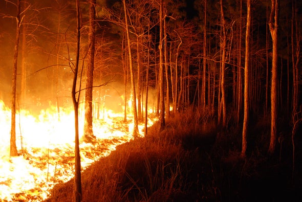 Government Scientist Blocked from Talking About Climate and Wildfires