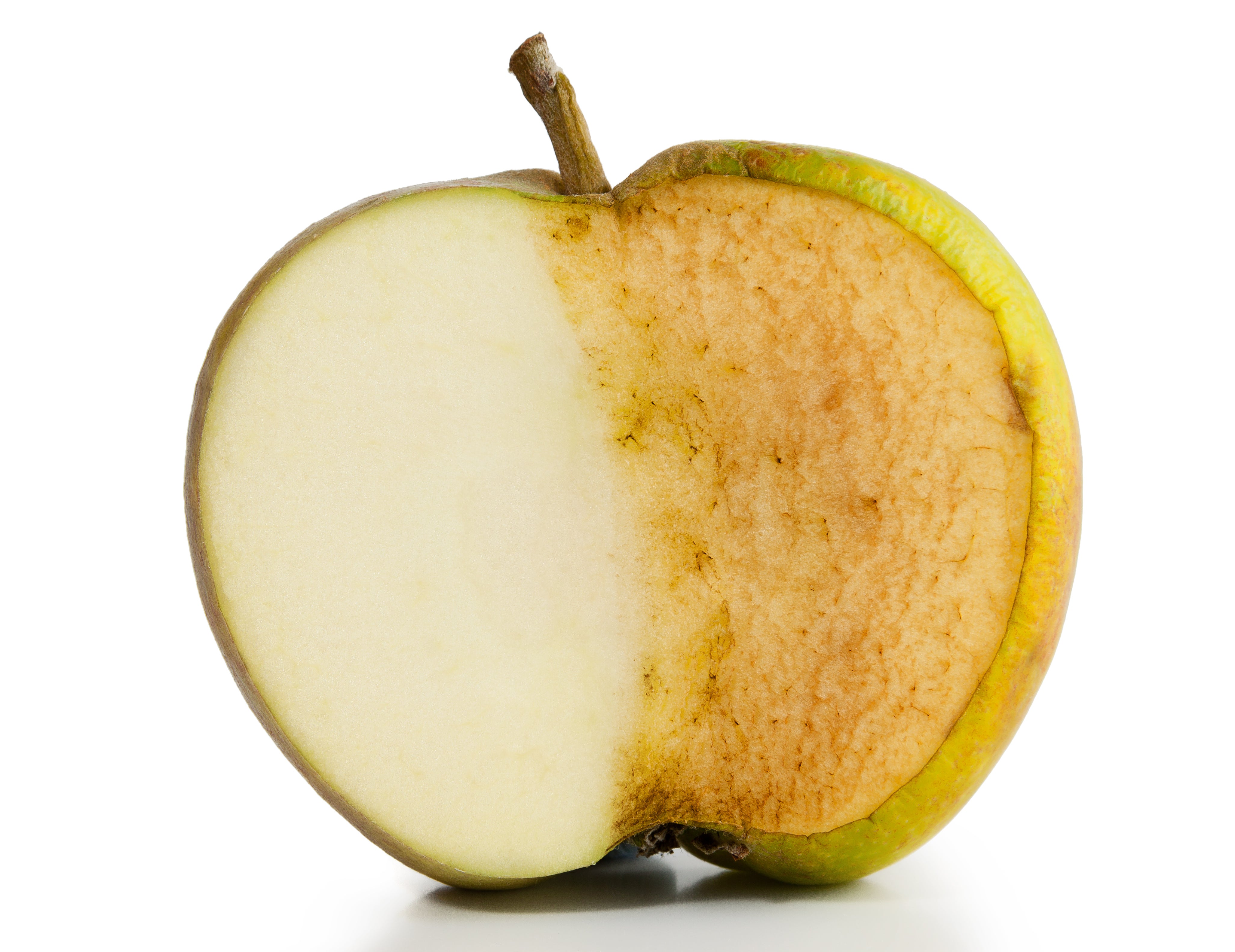 ROTTEN APPLE definition in American English