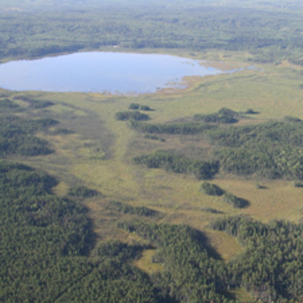 Peat and Repeat: Can Major Carbon Sinks Be Restored by Rewetting the World's Drained Bogs?