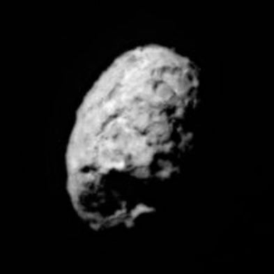 Wild Ride: Comet Sample May Help Constrain the Early Evolution of the Solar System