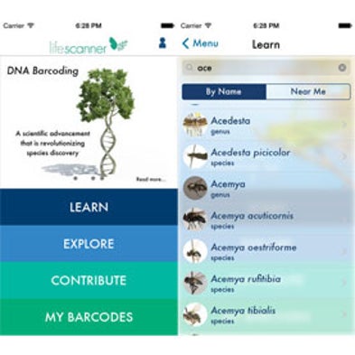 LifeScanner