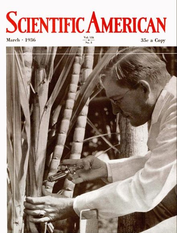 Scientific American Magazine Vol 154 Issue 3