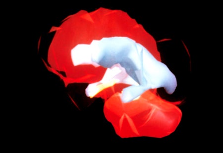 大众科学 Logo