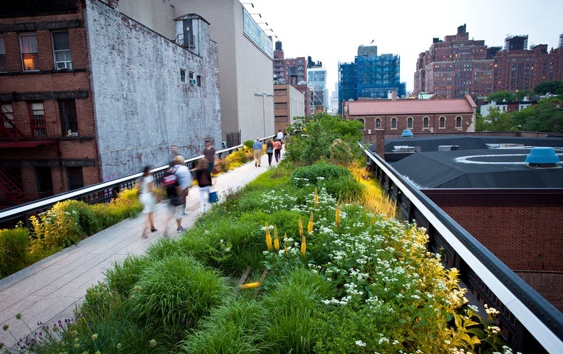 Who Benefits from Public Green Space? - Scientific American