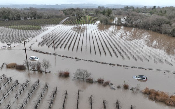 Aerial view of floodwaters drowning crops and cars.