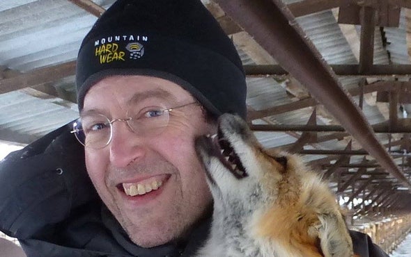 Dogging It: Turning Wild Foxes into Man's Second-Best Friend