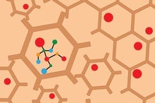 Lab-Made Motors Could Move and Glow in Cells