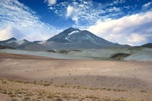 The World's Highest-Dwelling Mammal Lives atop a Volcano