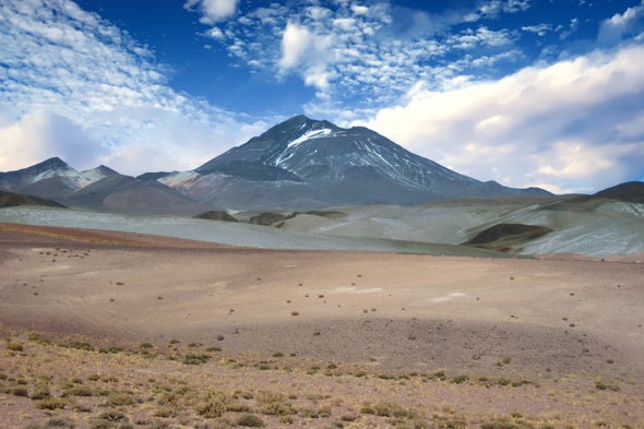 The World's Highest-Dwelling Mammal Lives atop a Volcano