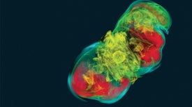 Strange Supernovae Reveal New Stellar Secrets