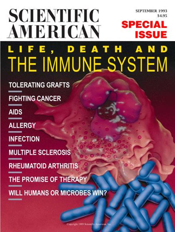 Scientific American Magazine Vol 269 Issue 3