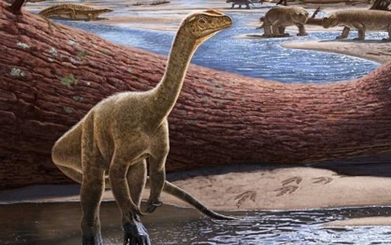 Nueva especie de dinosaurio es la más antigua jamás encontrada en África