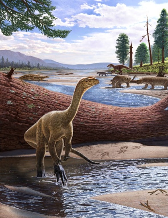New Dinosaur Species Is Oldest Ever Found in Africa - Scientific American