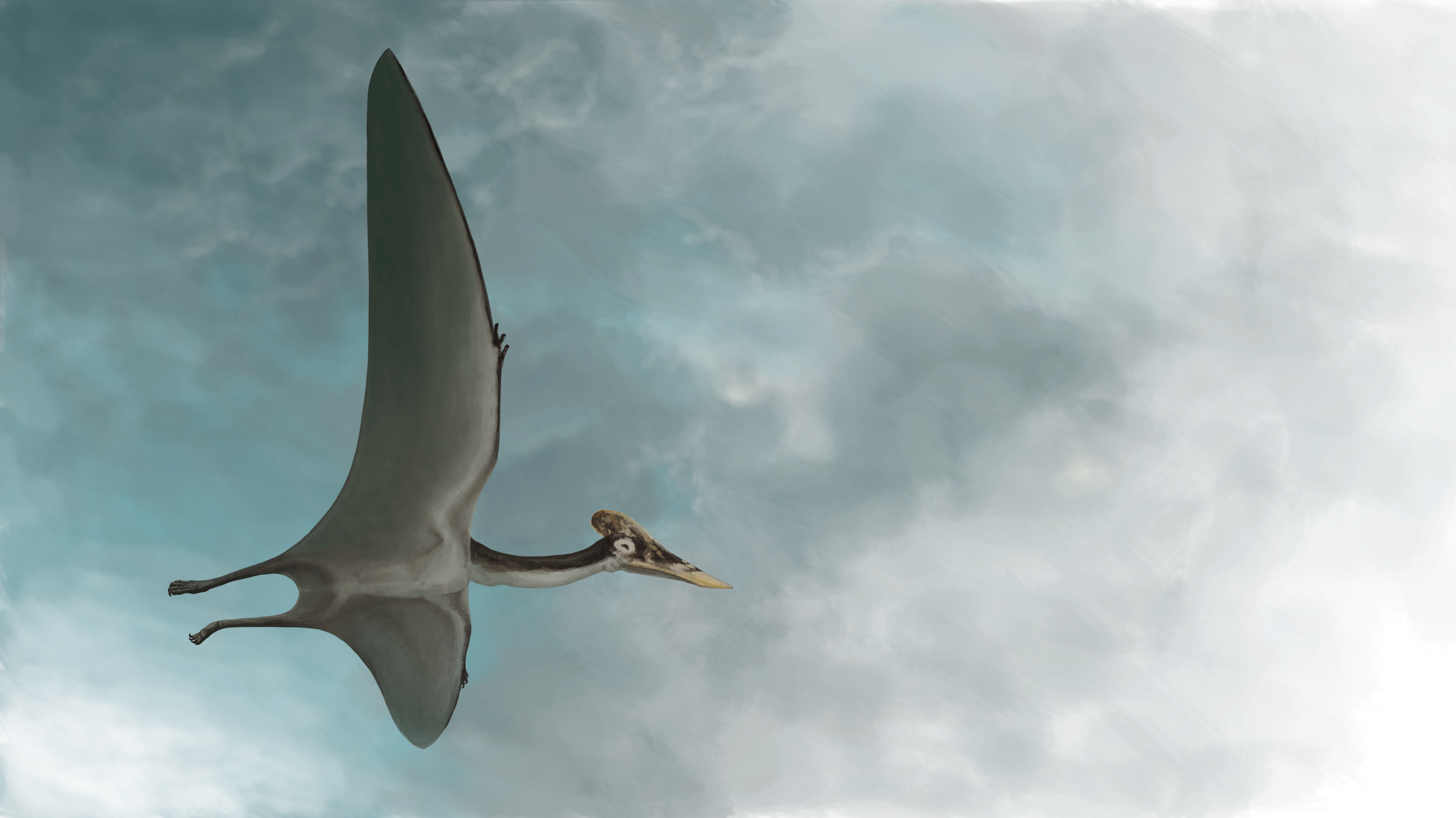 Meet Dracula The Largest Pterosaur Found To Date Scientific