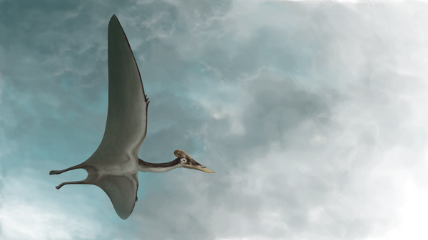 An artist's reconstruction of Dracula, the largest pterosaur found to date.