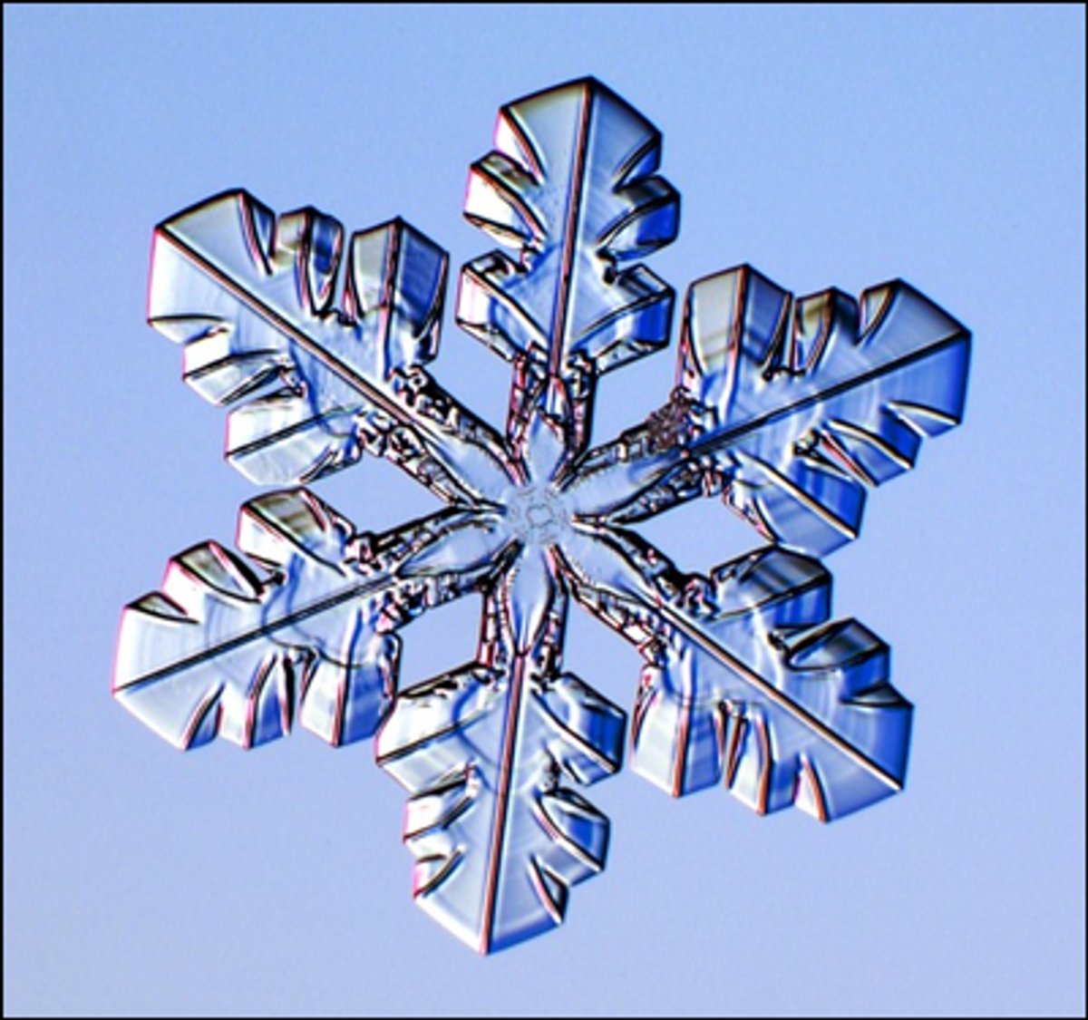 Remember Snowflakes? | Scientific American