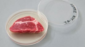 The Quest for Lab-Grown Meat