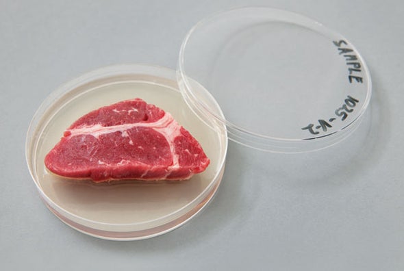 The Quest for Lab-Grown Meat