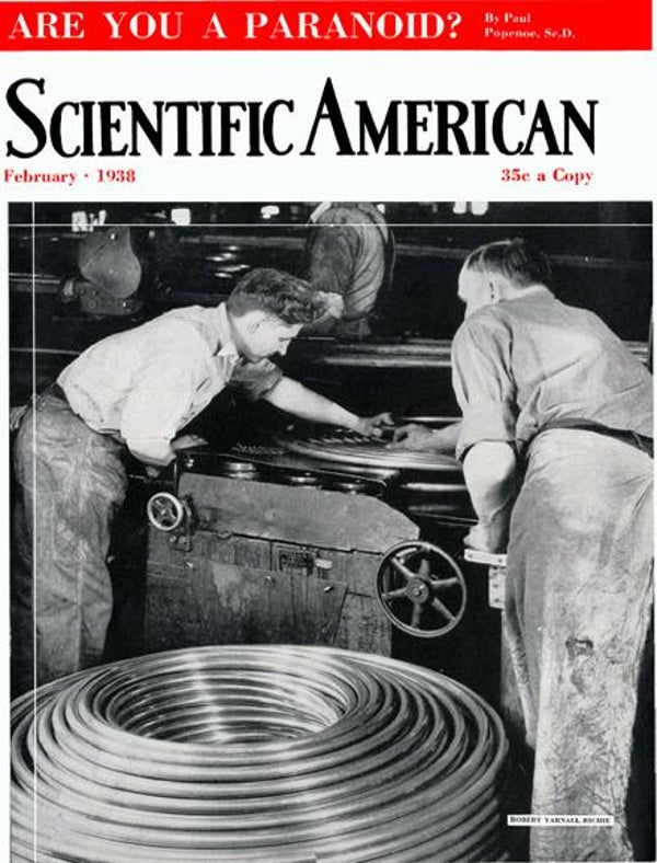 Scientific American Magazine Vol 158 Issue 2