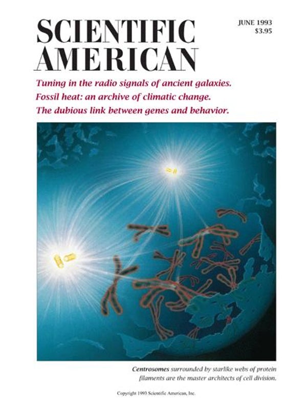 Scientific American Magazine Vol 268 Issue 6