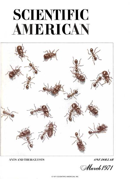 Scientific American Magazine Vol 224 Issue 3