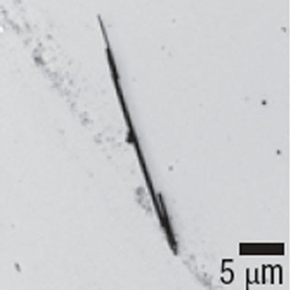 Study Says Carbon Nanotubes as Dangerous as Asbestos