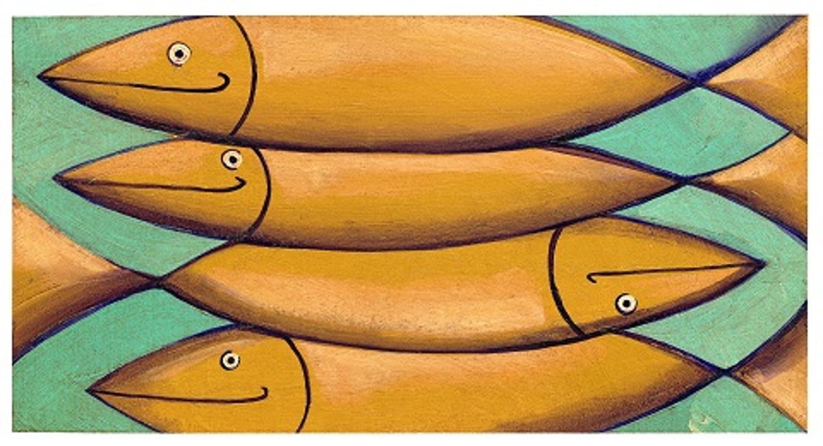 Shy Fish Prefer to Follow Other Shy Fish Scientific American