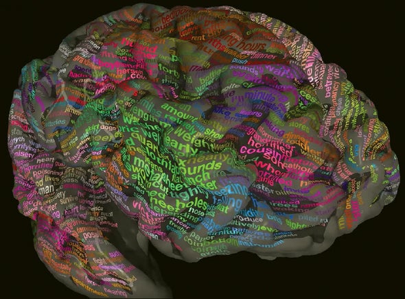 Where Words are Stored: The Brain's Meaning Map