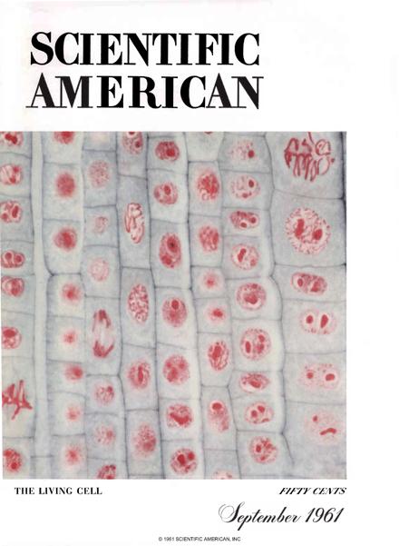 Scientific American Magazine Vol 205 Issue 3